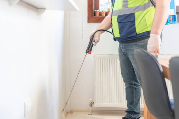 Best Wasp Removal Services  in Chestertown, MD